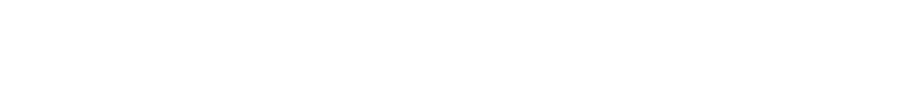 Mount Web Services - white logo